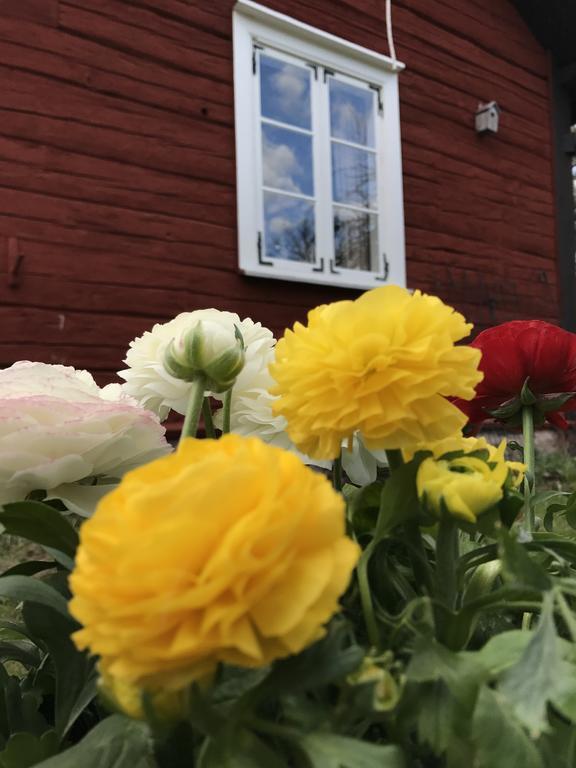 Visingso Pensionat Buitenkant foto